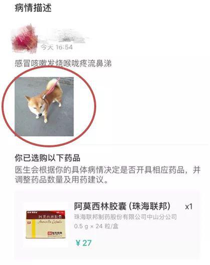▲寵物照片充當(dāng)處方通過“丁香醫(yī)生”審核