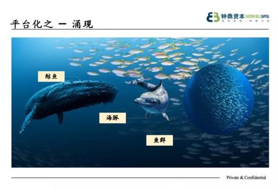 2020罻ֱM(jn)A状YQڹ(yng) | ͶYf 