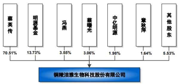 銅陵潔雅股份科技股份有限公司股權(quán)穿透圖(來(lái)源:招股書)