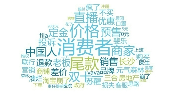 圖5 有關(guān)價格爭議負(fù)面信息詞云圖